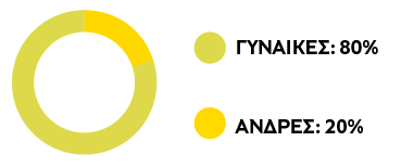 Επιτροπή Ελέγχου