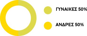 Επιτροπή Ελέγχου