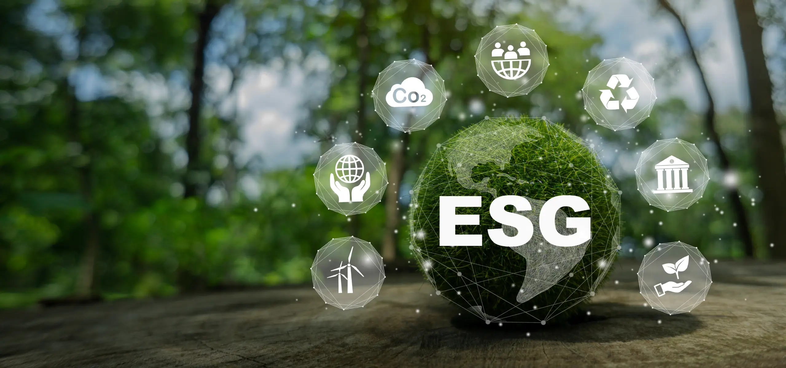 Investing in a better future for all